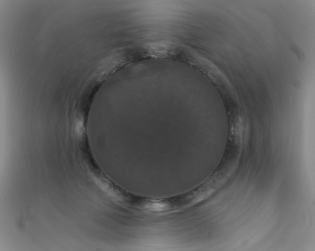 X0000111590610200907161455