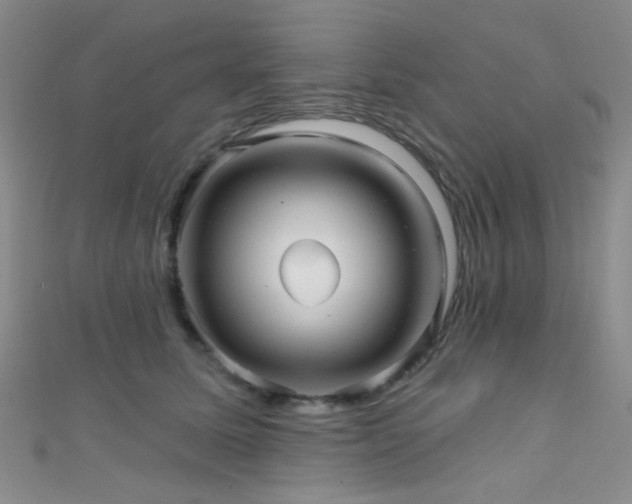 X0000111590611200907161455