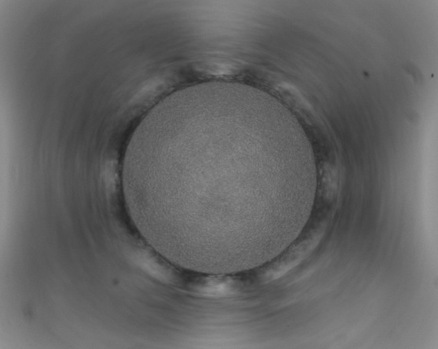 X0000111590612200907161455