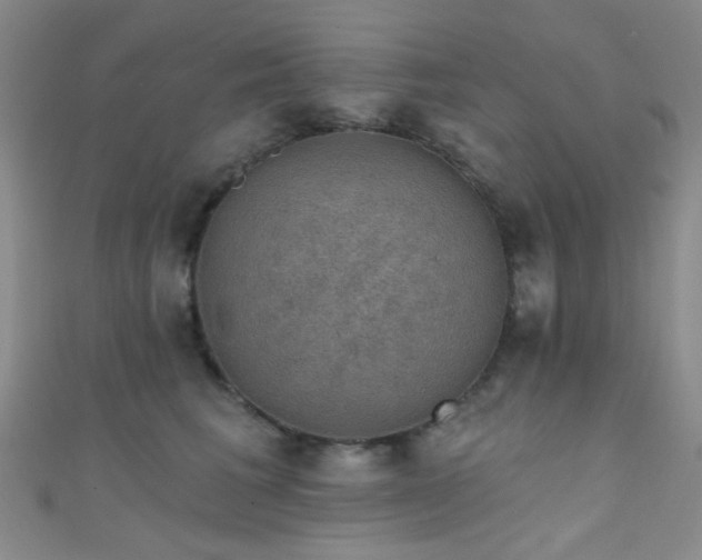 X0000111590613200907161455