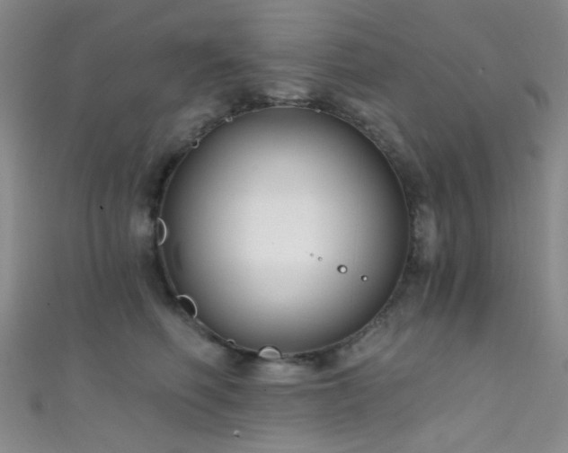 X0000111590614200907161455