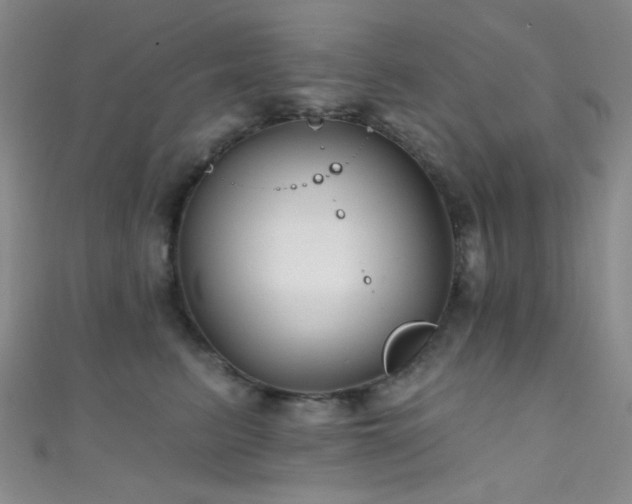 X0000111590615200907161455