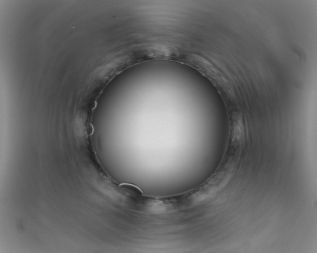 X0000111590616200907161455