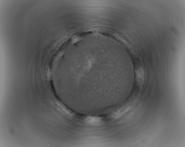 X0000111590617200907161455