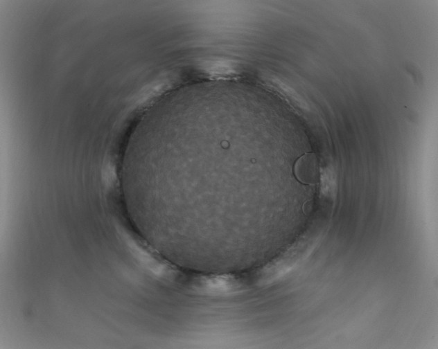 X0000111590618200907161455