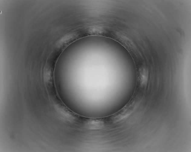 X0000111590619200907161455