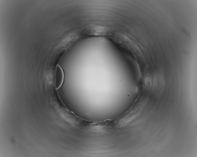 X0000111590620200907161455