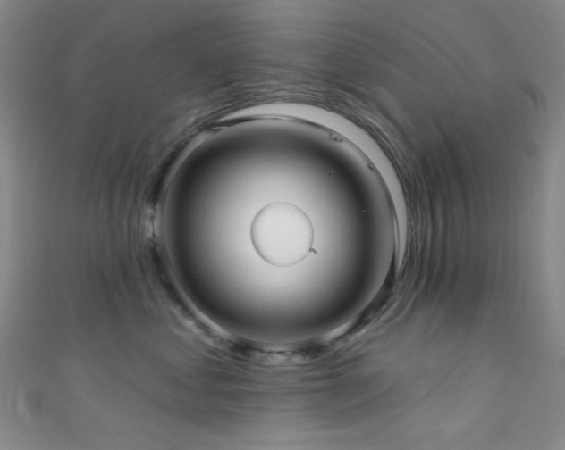 X0000111590621200907161455