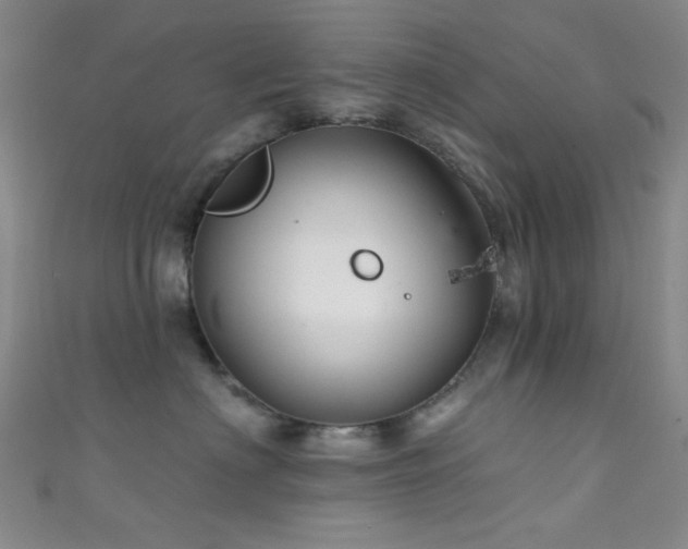 X0000111590622200907161455