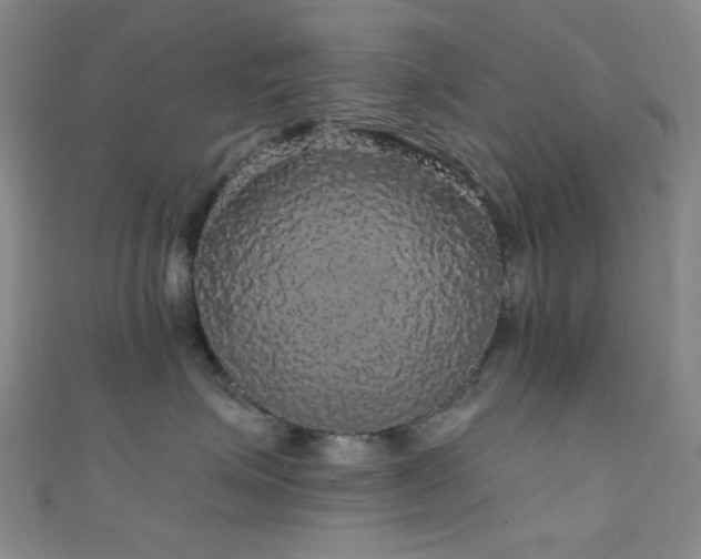 X0000111590623200907161455