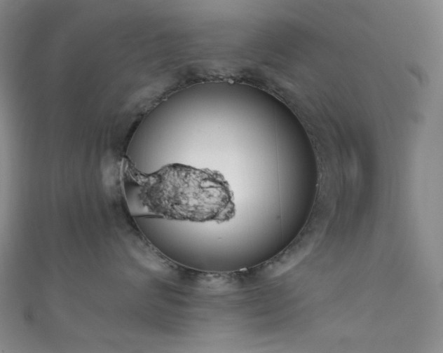 X0000111590624200907161455