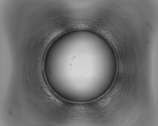 X0000111590625200907161454