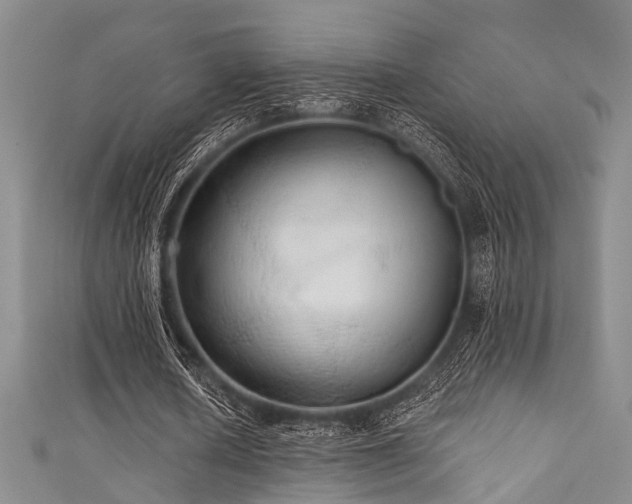 X0000111590626200907161454