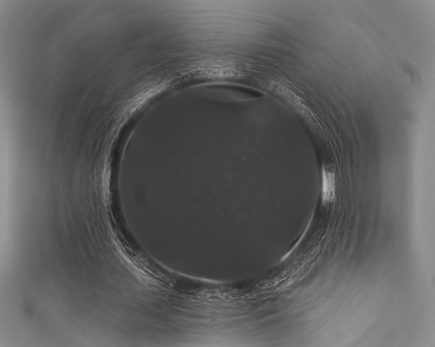 X0000111590627200907161454