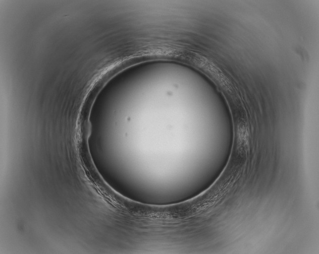 X0000111590628200907161454