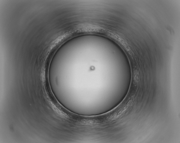 X0000111590629200907161454