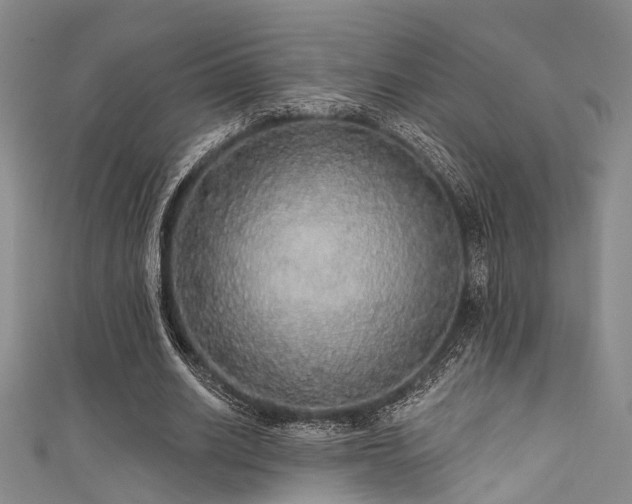 X0000111590630200907161454