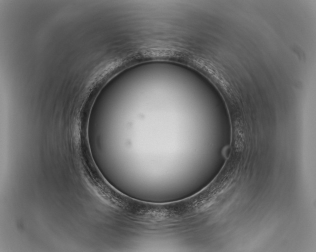 X0000111590631200907161454