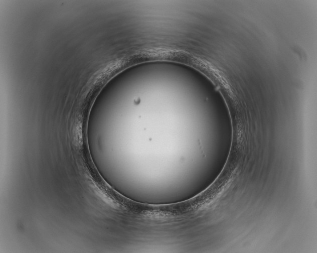 X0000111590633200907161454