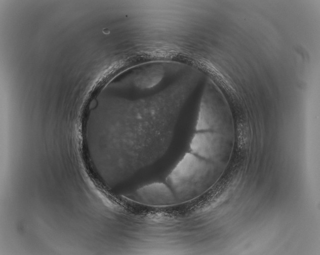 X0000111590634200907161454