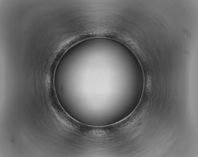 X0000111590636200907161454