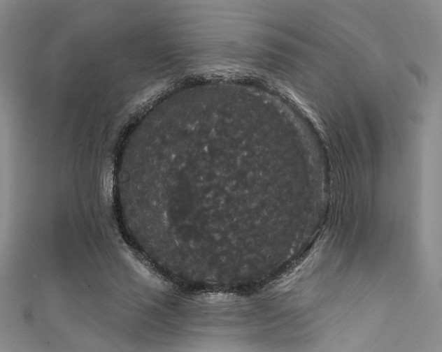 X0000111590637200907161454