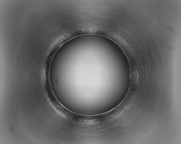 X0000111590638200907161454