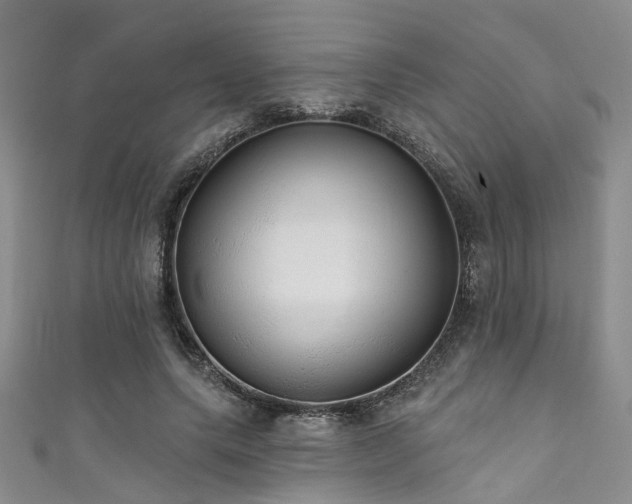 X0000111590639200907161454