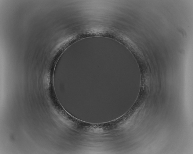 X0000111590640200907161454