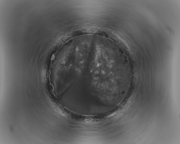 X0000111590641200907161454