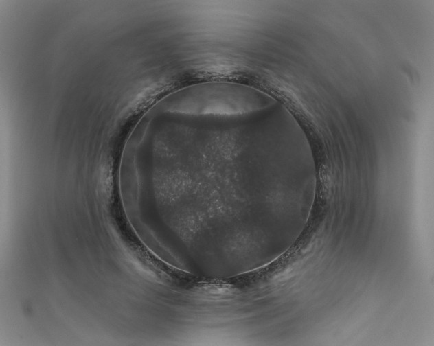 X0000111590642200907161454