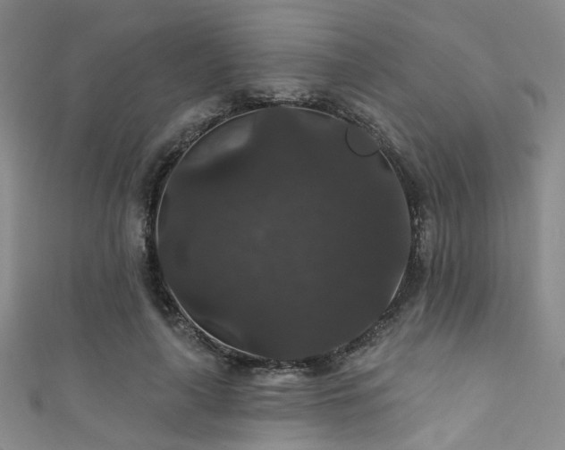 X0000111590643200907161454