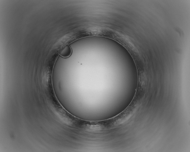 X0000111590645200907161454