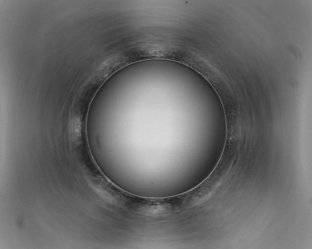 X0000111590646200907161454