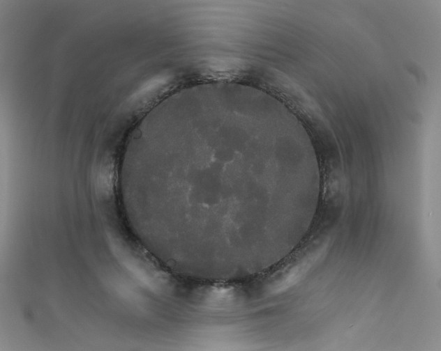 X0000111590647200907161454