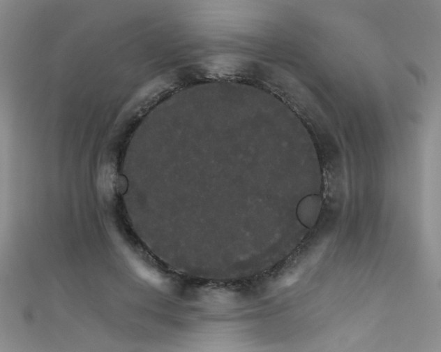 X0000111590648200907161454