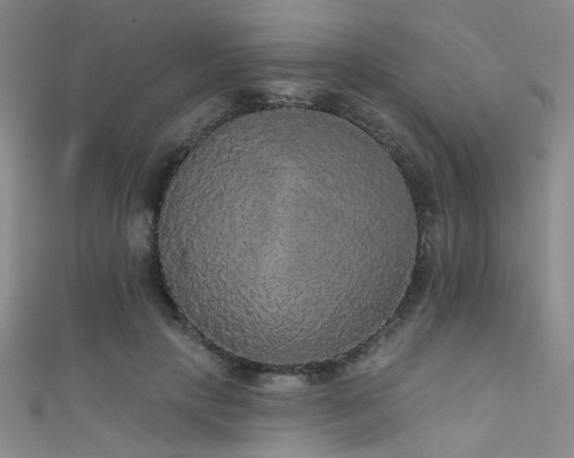 X0000111590649200907161454