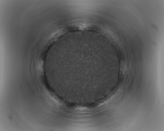 X0000111590650200907161454