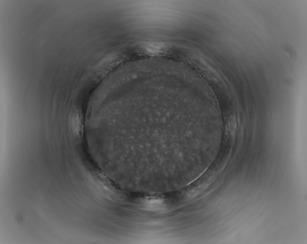 X0000111590651200907161454