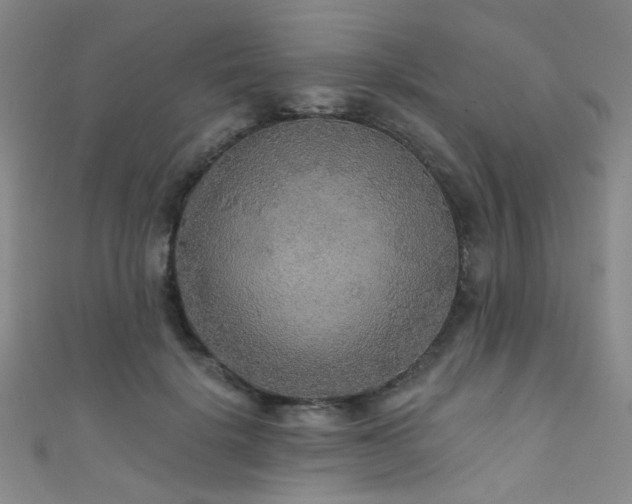 X0000111590652200907161454