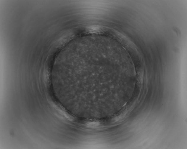 X0000111590653200907161454