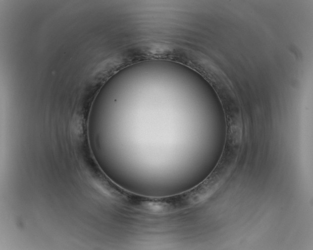 X0000111590654200907161454