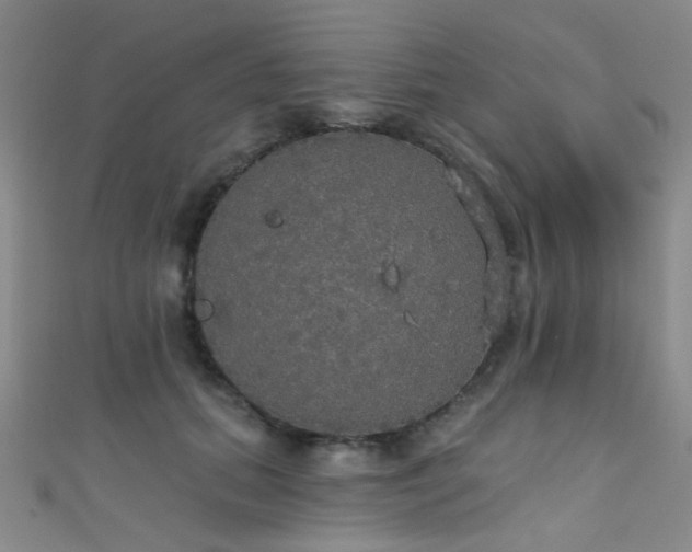 X0000111590655200907161454