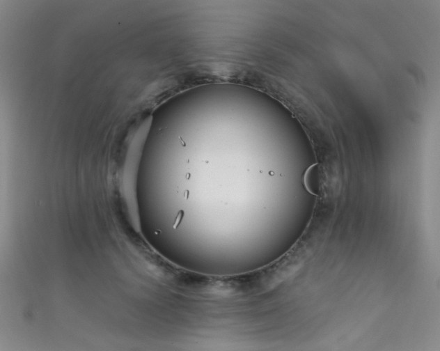 X0000111590656200907161454