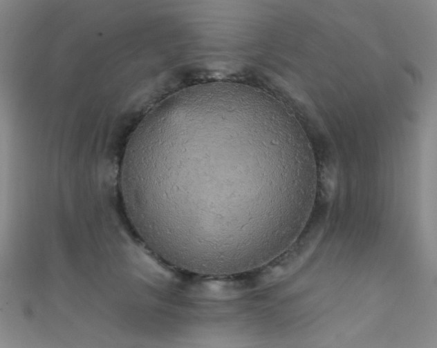 X0000111590657200907161454