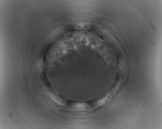 X0000111590659200907161454