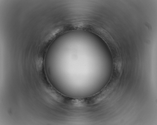 X0000111590660200907161454