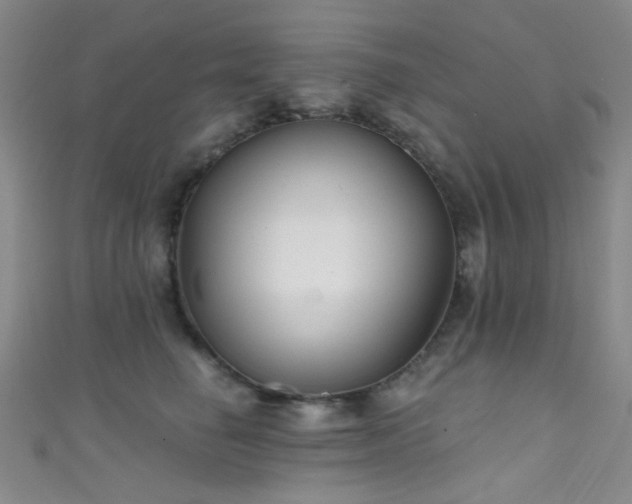 X0000111590662200907161454