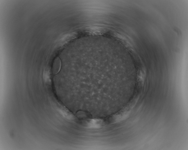 X0000111590663200907161454