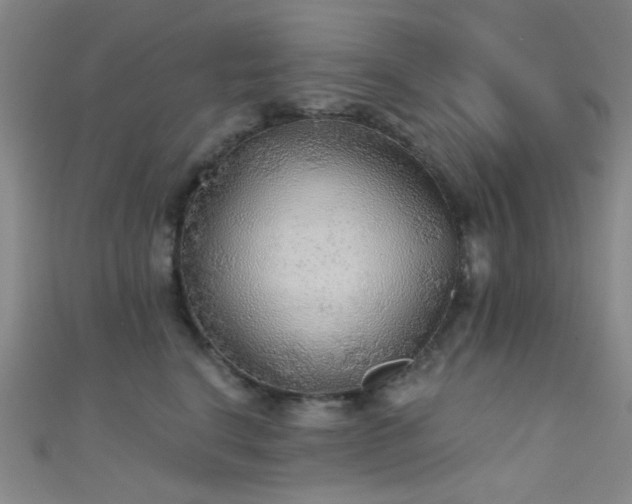 X0000111590664200907161454